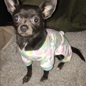 Meet your Posher, Gisselle